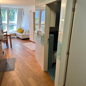One-Bedroom Apartment with View