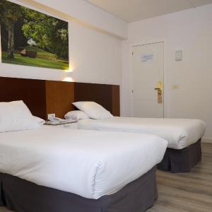 Twin Room with Terrace
