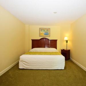 1 Bedroom 1 Bath Oceanfront Condo with 1 King, Sleeper Sofa and Wall Bed - T23