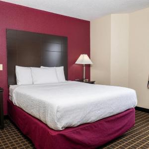 1 Queen Bed, Mobility Accessible Room, Bathtub w/ Grab Bars, Non-Smoking