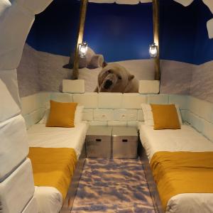Arctic Standard Room