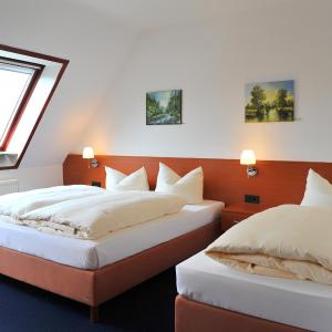 Family Room (2-3 Adults)