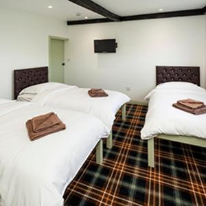 Luxury Triple Room