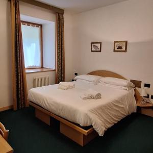 Double or Twin Room - Disability Access