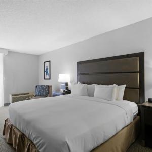 King Room with Roll-In Shower - Mobility Access/Non-Smoking