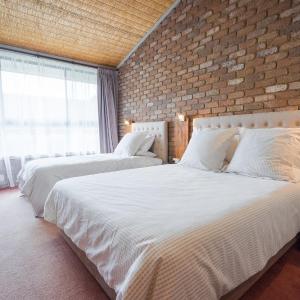 Twin Suite