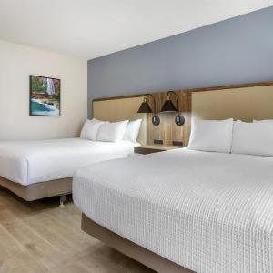 Queen Room with Two Queen Beds - Pet Friendly/Non-Smoking