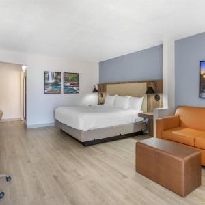 King Suite - Pet Friendly/Non-Smoking