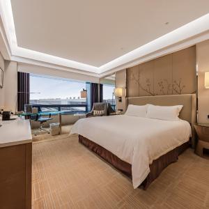 Executive King Room  