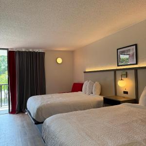 Double Room with Two Double Beds - Non-Smoking