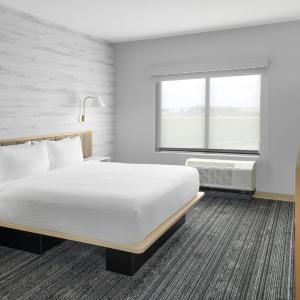 One-Bedroom King Suite with Sofa Bed 