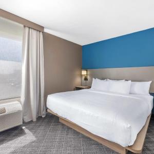 1 King Bed, Suite, Nonsmoking, Sofabed