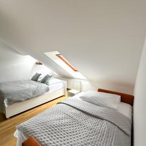 Classic Apartment