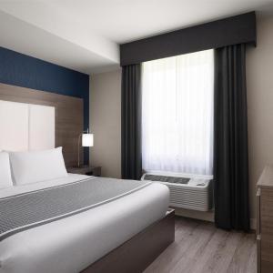 One-Bedroom King Suite with Sofa Bed