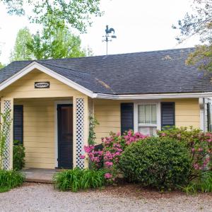 The Paulownia Cottage
