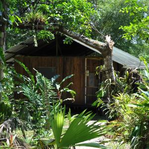 Standard Double or Twin Room with Garden View