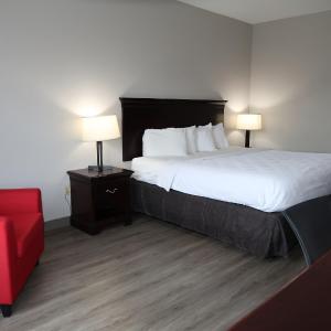 King Room - Non-Smoking