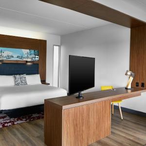 Larger King Studio with Campus View and Sofa Bed