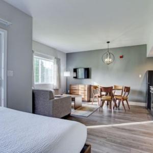 Premium Studio Treetops