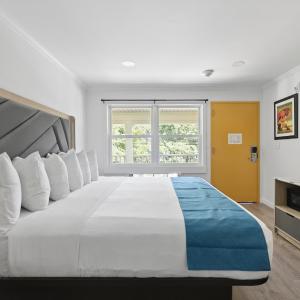 King Room - Disability Access