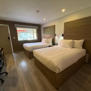 Efficiency Room with Two Double Beds - Non-Smoking
