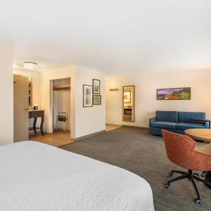 King Studio Suite with Sofa Bed - Non-Smoking