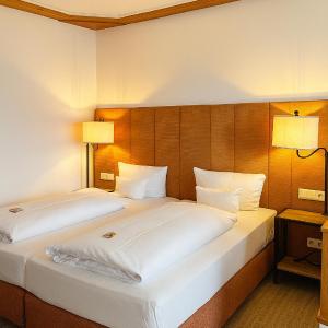 Deluxe Double or Twin Room with Balcony