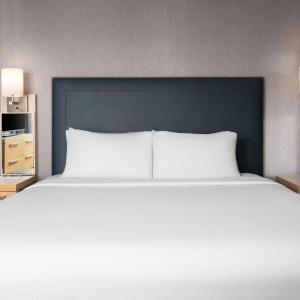One-Bedroom King Suite with Roll-In Shower, Transfer Shower and Sofa Bed - Mobility Access