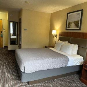 King Room - Non-Smoking