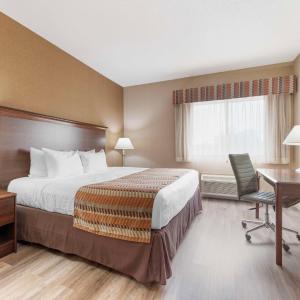 King Room with Sofa Bed - Disability Access/Non-Smoking