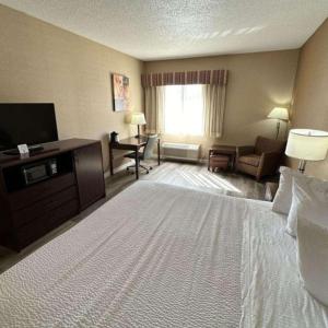 King Room - Non-Smoking