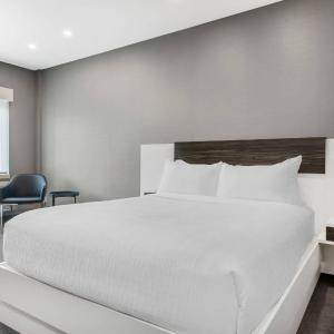 Queen Room - Disability Access/Non-Smoking
