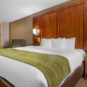 King Suite with Sofa Bed- Non-Smoking 