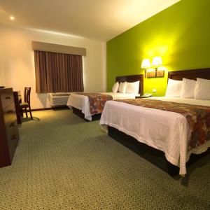 Double Room with Two Double Beds
