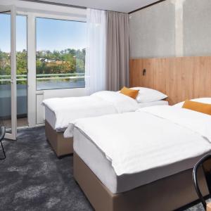 Executive Double or Twin Room