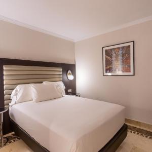 Basic Double Room