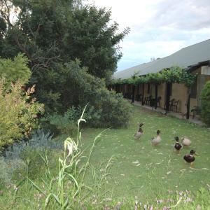 Small Family Room