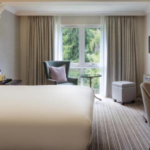 Deluxe Queen Room with View