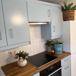 One-Bedroom Apartment with Garden View