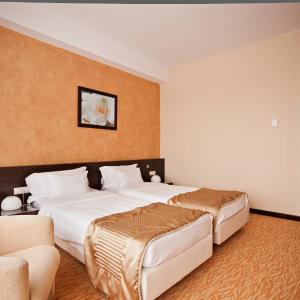 Standard Twin Room with Spa Access 