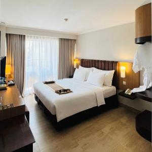 Superior Queen Room