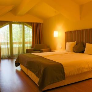 Deluxe Single Room - Free Spa