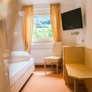 Standard Single Room with Mountain View