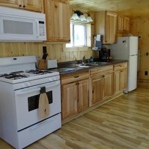 One-Bedroom House Cabin 3