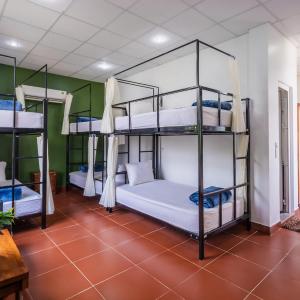 Single Bed in Mixed Dormitory Room