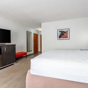 King Room - Mobility Access/Non-Smoking
