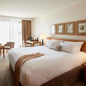 Superior Double Room with Town View 