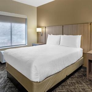 King Suite with Sofa Bed