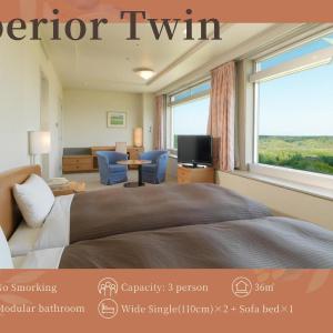 Superior Twin Room - Non-Smoking