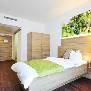 Basic Single Room